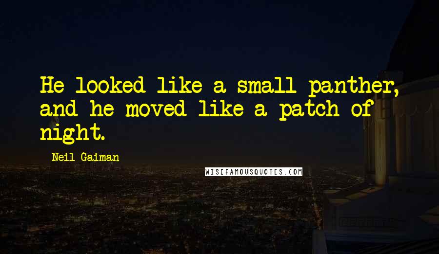 Neil Gaiman Quotes: He looked like a small panther, and he moved like a patch of night.