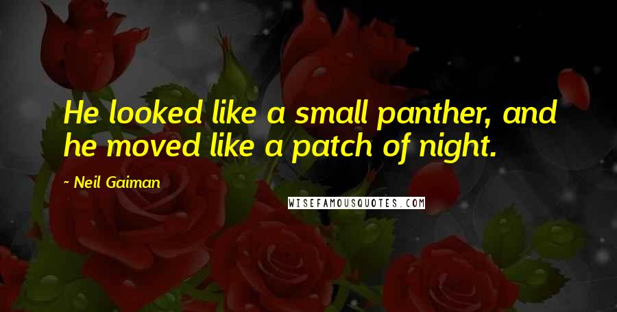Neil Gaiman Quotes: He looked like a small panther, and he moved like a patch of night.