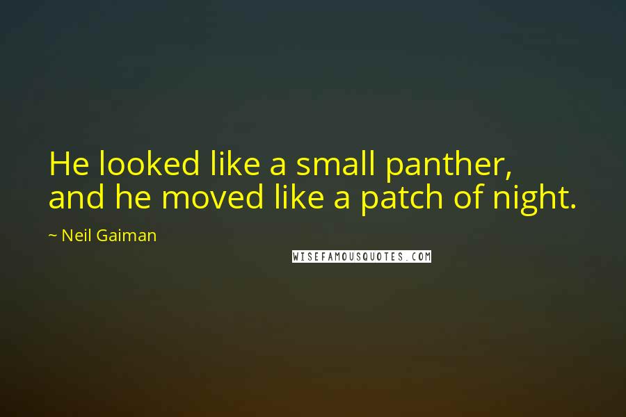 Neil Gaiman Quotes: He looked like a small panther, and he moved like a patch of night.