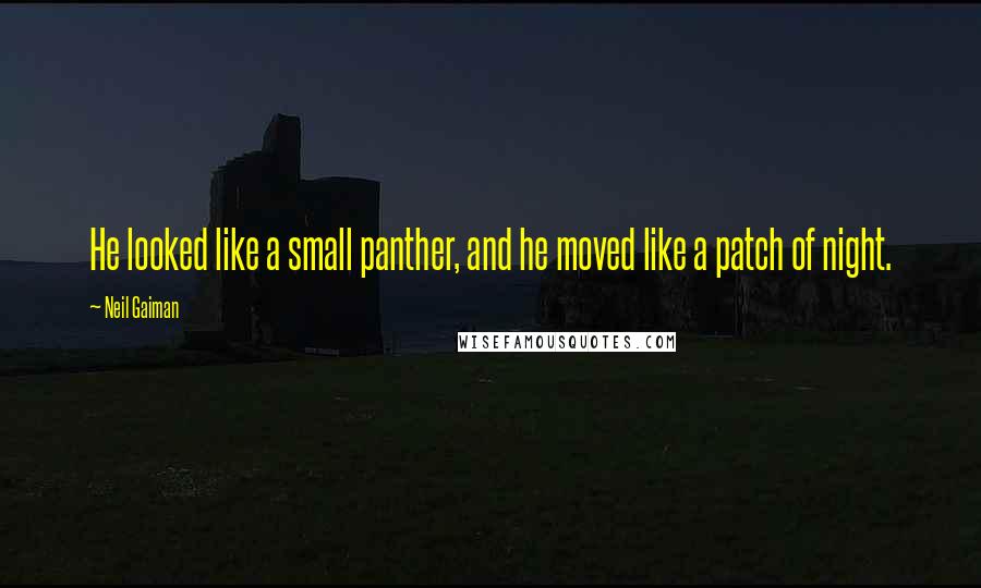 Neil Gaiman Quotes: He looked like a small panther, and he moved like a patch of night.