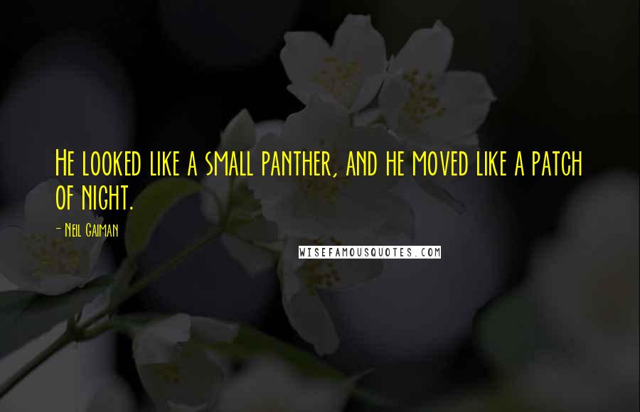 Neil Gaiman Quotes: He looked like a small panther, and he moved like a patch of night.