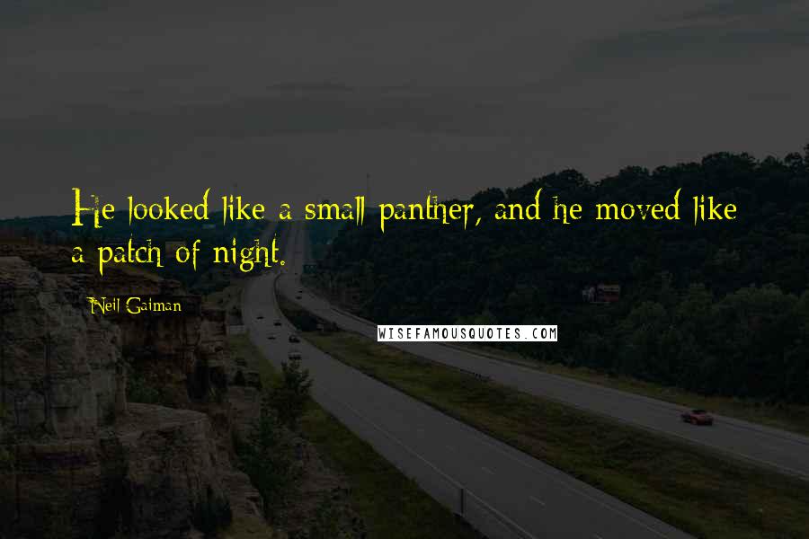 Neil Gaiman Quotes: He looked like a small panther, and he moved like a patch of night.