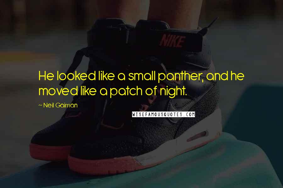 Neil Gaiman Quotes: He looked like a small panther, and he moved like a patch of night.