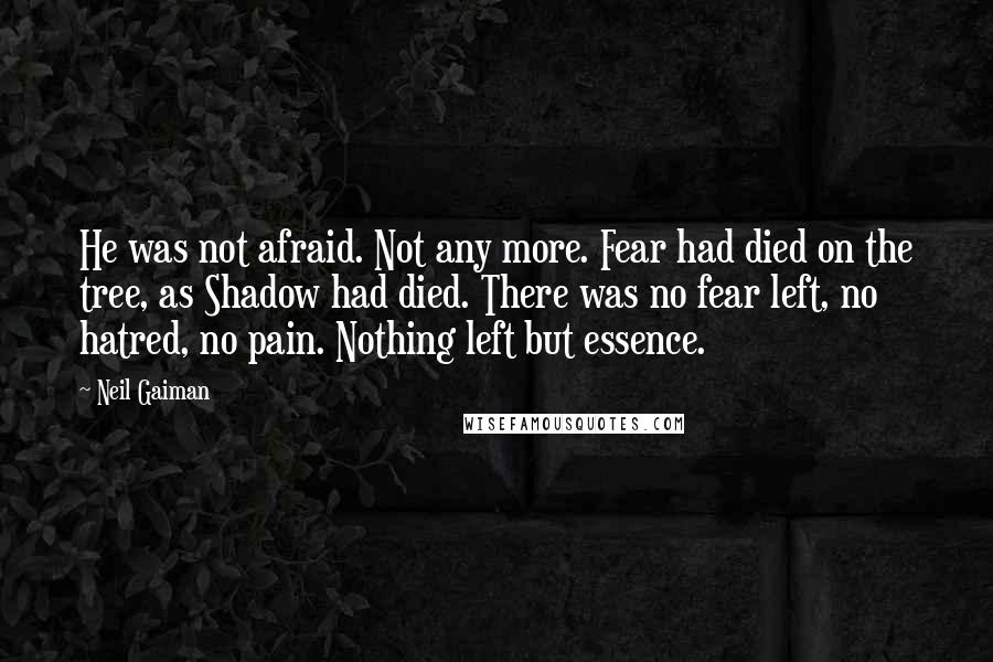 Neil Gaiman Quotes: He was not afraid. Not any more. Fear had died on the tree, as Shadow had died. There was no fear left, no hatred, no pain. Nothing left but essence.