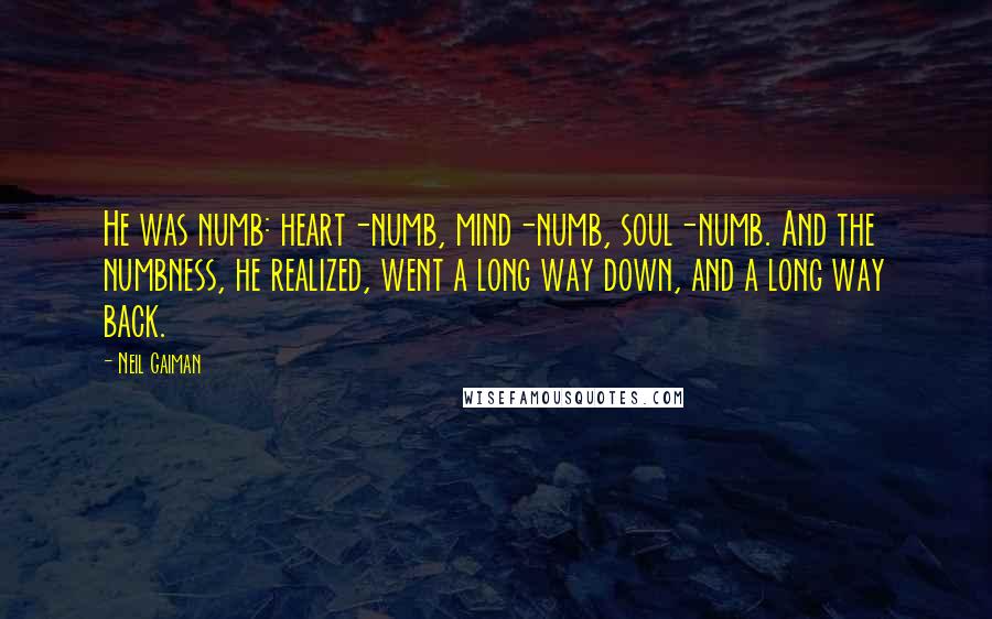 Neil Gaiman Quotes: He was numb: heart-numb, mind-numb, soul-numb. And the numbness, he realized, went a long way down, and a long way back.