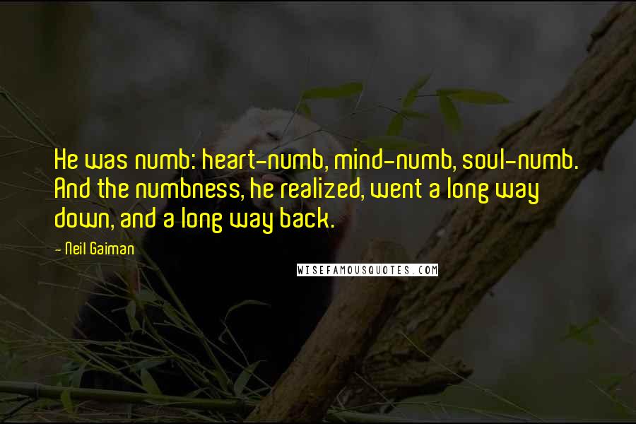 Neil Gaiman Quotes: He was numb: heart-numb, mind-numb, soul-numb. And the numbness, he realized, went a long way down, and a long way back.