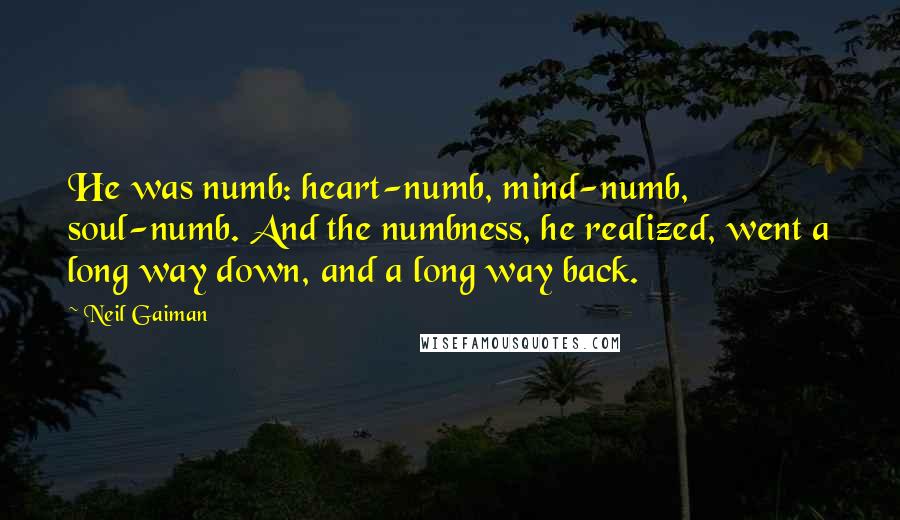 Neil Gaiman Quotes: He was numb: heart-numb, mind-numb, soul-numb. And the numbness, he realized, went a long way down, and a long way back.