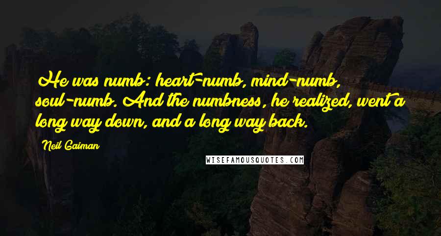 Neil Gaiman Quotes: He was numb: heart-numb, mind-numb, soul-numb. And the numbness, he realized, went a long way down, and a long way back.