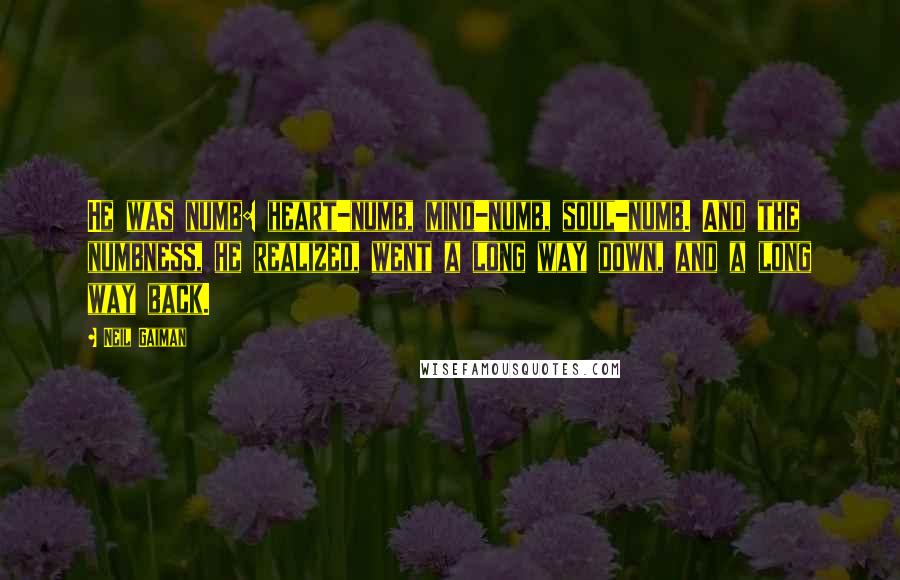 Neil Gaiman Quotes: He was numb: heart-numb, mind-numb, soul-numb. And the numbness, he realized, went a long way down, and a long way back.