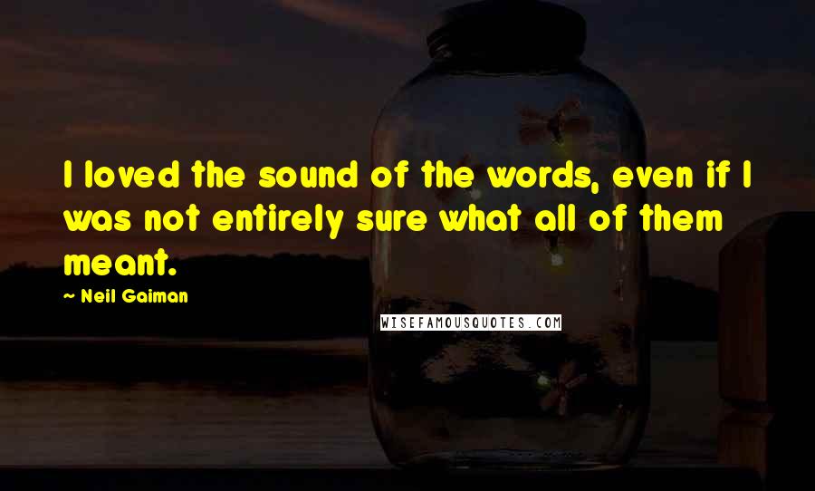 Neil Gaiman Quotes: I loved the sound of the words, even if I was not entirely sure what all of them meant.