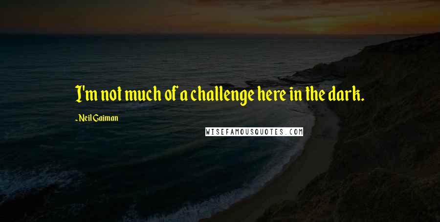 Neil Gaiman Quotes: I'm not much of a challenge here in the dark.