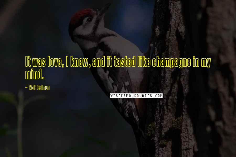 Neil Gaiman Quotes: It was love, I knew, and it tasted like champagne in my mind.