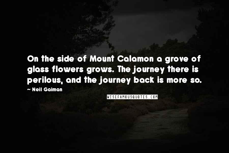 Neil Gaiman Quotes: On the side of Mount Calamon a grove of glass flowers grows. The journey there is perilous, and the journey back is more so.