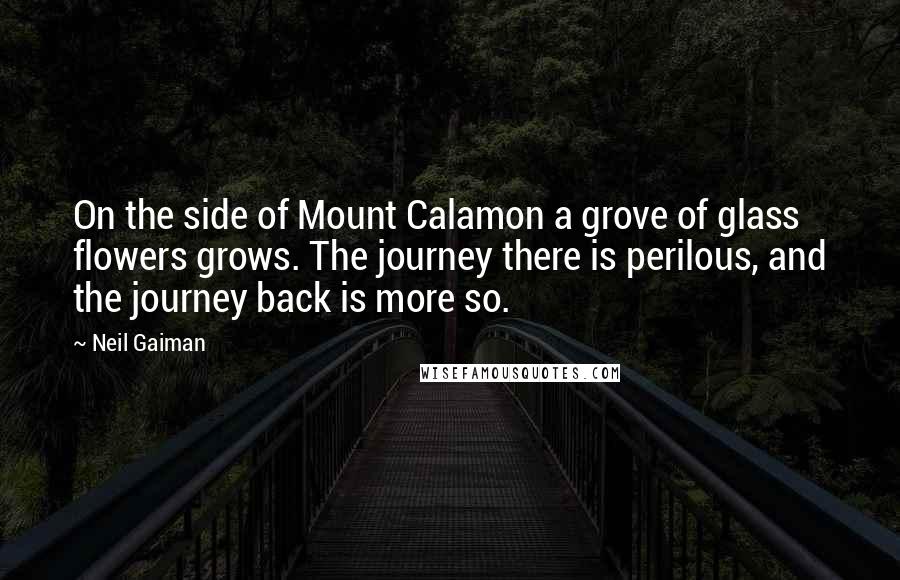 Neil Gaiman Quotes: On the side of Mount Calamon a grove of glass flowers grows. The journey there is perilous, and the journey back is more so.