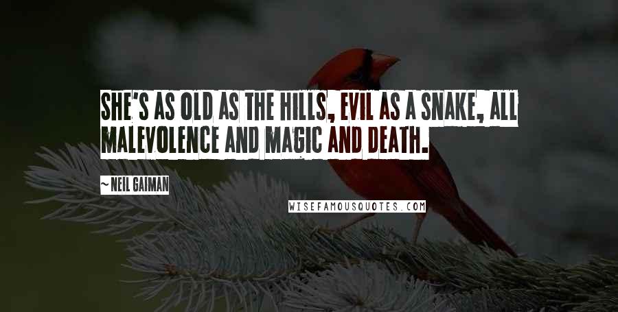 Neil Gaiman Quotes: She's as old as the hills, evil as a snake, all malevolence and magic and death.