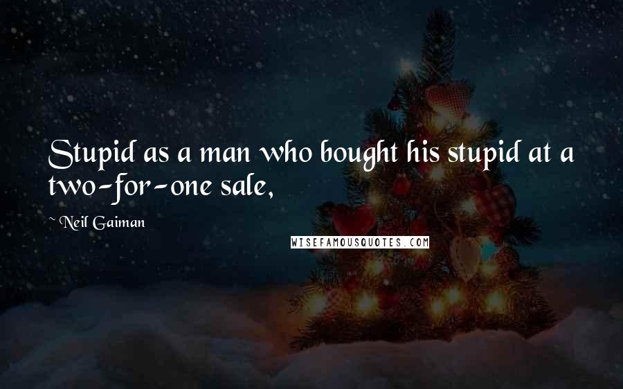 Neil Gaiman Quotes: Stupid as a man who bought his stupid at a two-for-one sale,
