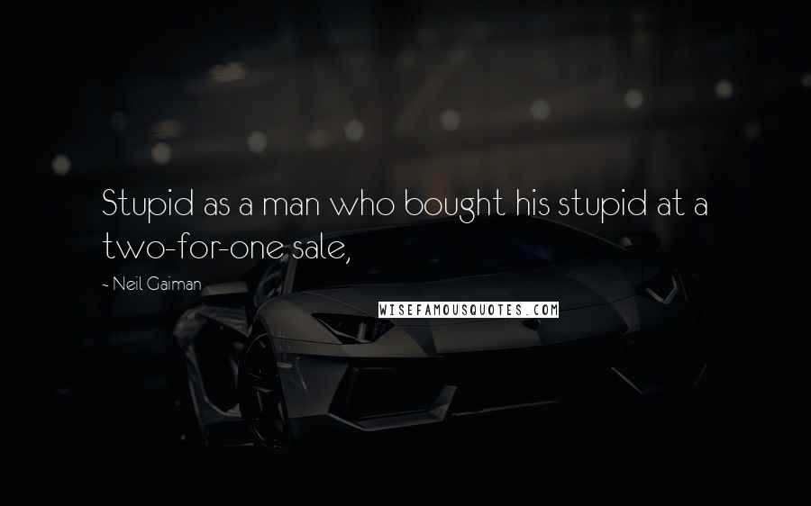 Neil Gaiman Quotes: Stupid as a man who bought his stupid at a two-for-one sale,