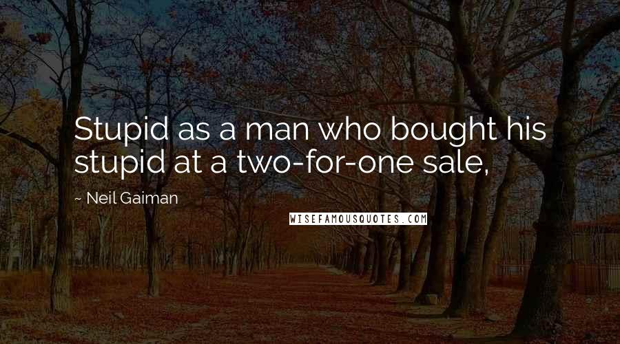 Neil Gaiman Quotes: Stupid as a man who bought his stupid at a two-for-one sale,
