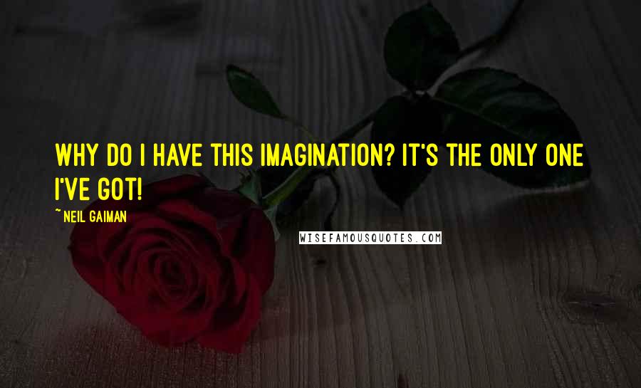 Neil Gaiman Quotes: Why do I have this imagination? It's the only one I've got!