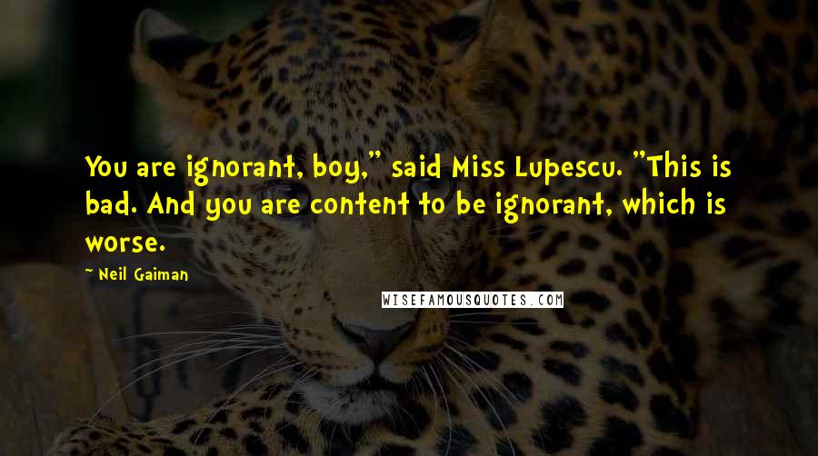 Neil Gaiman Quotes: You are ignorant, boy," said Miss Lupescu. "This is bad. And you are content to be ignorant, which is worse.