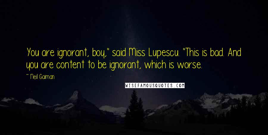 Neil Gaiman Quotes: You are ignorant, boy," said Miss Lupescu. "This is bad. And you are content to be ignorant, which is worse.