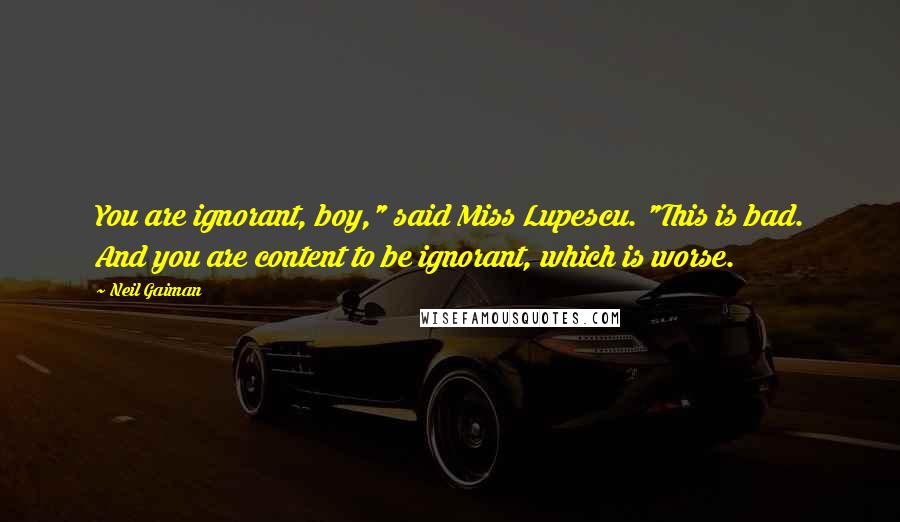 Neil Gaiman Quotes: You are ignorant, boy," said Miss Lupescu. "This is bad. And you are content to be ignorant, which is worse.