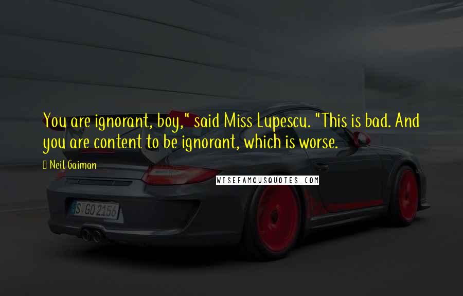 Neil Gaiman Quotes: You are ignorant, boy," said Miss Lupescu. "This is bad. And you are content to be ignorant, which is worse.