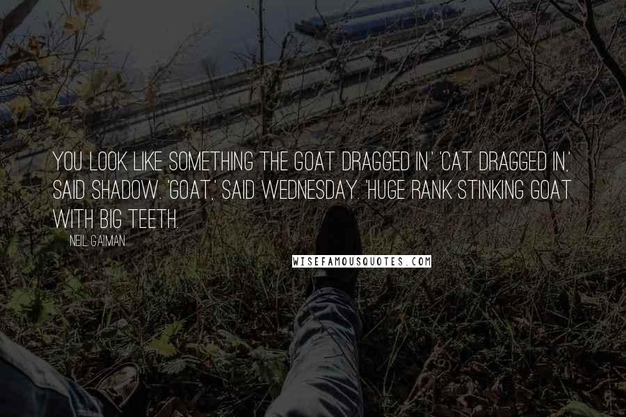 Neil Gaiman Quotes: You look like something the goat dragged in.' 'Cat dragged in,' said Shadow. 'Goat,' said Wednesday. 'Huge rank stinking goat with big teeth.