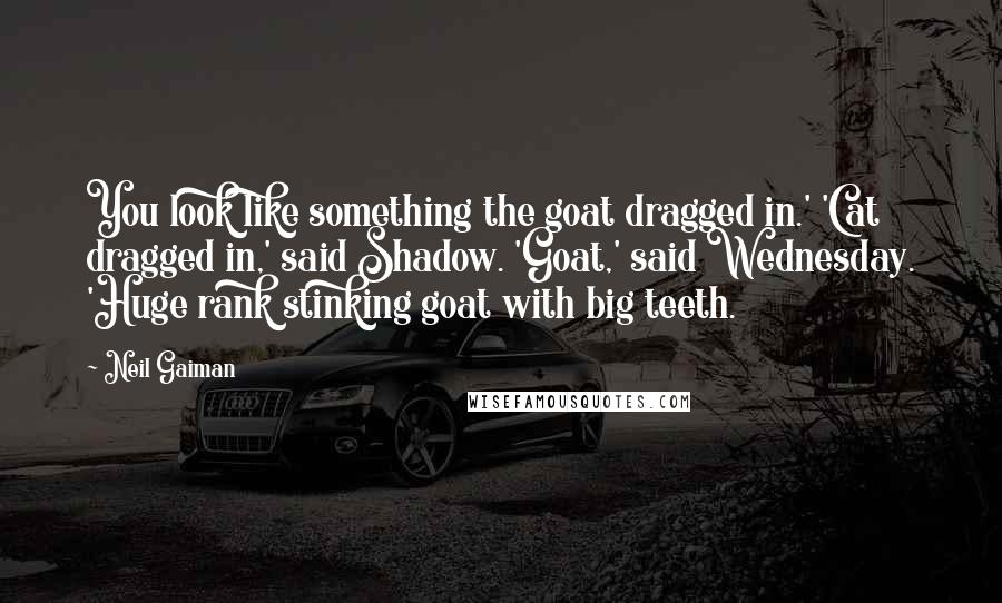 Neil Gaiman Quotes: You look like something the goat dragged in.' 'Cat dragged in,' said Shadow. 'Goat,' said Wednesday. 'Huge rank stinking goat with big teeth.