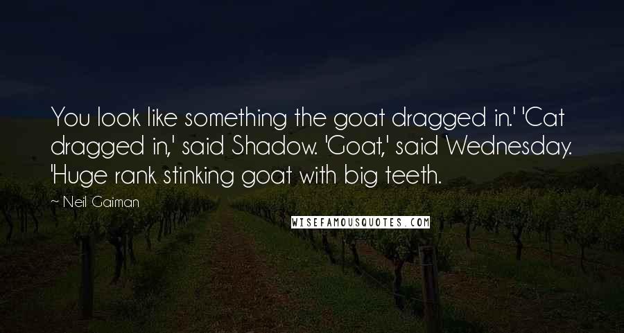Neil Gaiman Quotes: You look like something the goat dragged in.' 'Cat dragged in,' said Shadow. 'Goat,' said Wednesday. 'Huge rank stinking goat with big teeth.