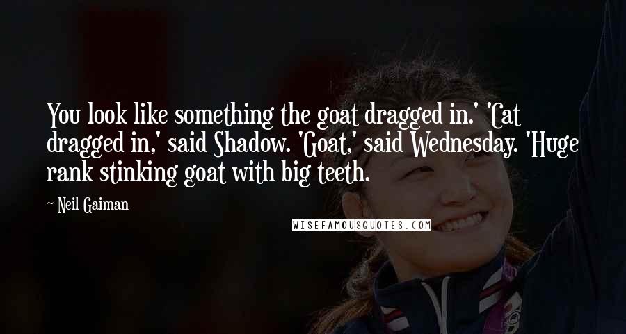 Neil Gaiman Quotes: You look like something the goat dragged in.' 'Cat dragged in,' said Shadow. 'Goat,' said Wednesday. 'Huge rank stinking goat with big teeth.