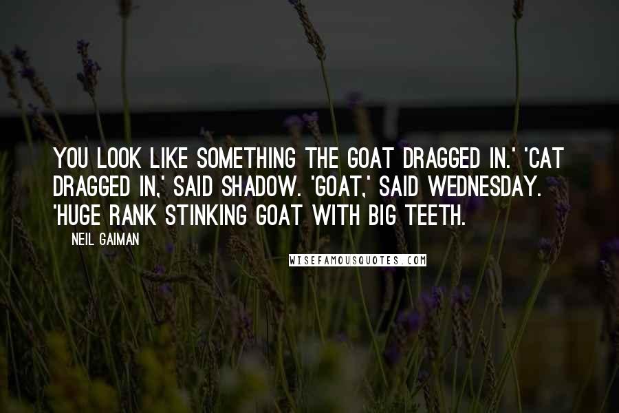 Neil Gaiman Quotes: You look like something the goat dragged in.' 'Cat dragged in,' said Shadow. 'Goat,' said Wednesday. 'Huge rank stinking goat with big teeth.