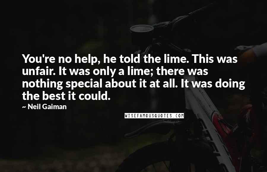 Neil Gaiman Quotes: You're no help, he told the lime. This was unfair. It was only a lime; there was nothing special about it at all. It was doing the best it could.