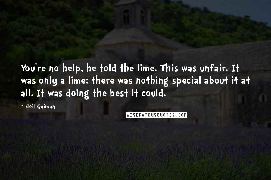 Neil Gaiman Quotes: You're no help, he told the lime. This was unfair. It was only a lime; there was nothing special about it at all. It was doing the best it could.