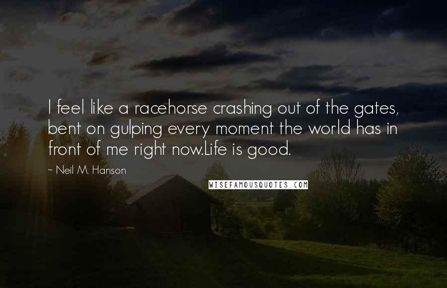 Neil M. Hanson Quotes: I feel like a racehorse crashing out of the gates, bent on gulping every moment the world has in front of me right now.Life is good.