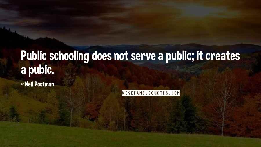 Neil Postman Quotes: Public schooling does not serve a public; it creates a pubic.