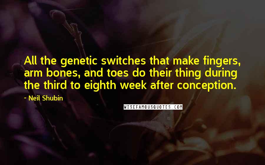 Neil Shubin Quotes: All the genetic switches that make fingers, arm bones, and toes do their thing during the third to eighth week after conception.
