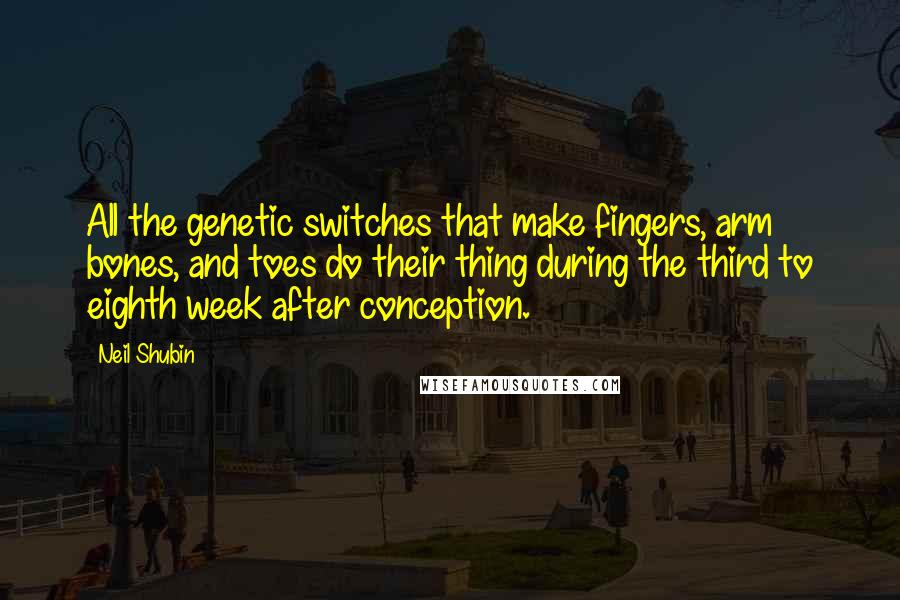 Neil Shubin Quotes: All the genetic switches that make fingers, arm bones, and toes do their thing during the third to eighth week after conception.