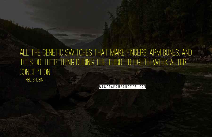 Neil Shubin Quotes: All the genetic switches that make fingers, arm bones, and toes do their thing during the third to eighth week after conception.
