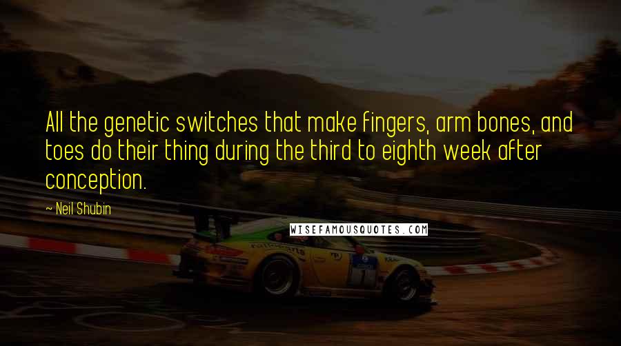 Neil Shubin Quotes: All the genetic switches that make fingers, arm bones, and toes do their thing during the third to eighth week after conception.