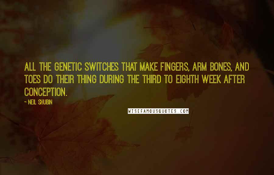 Neil Shubin Quotes: All the genetic switches that make fingers, arm bones, and toes do their thing during the third to eighth week after conception.