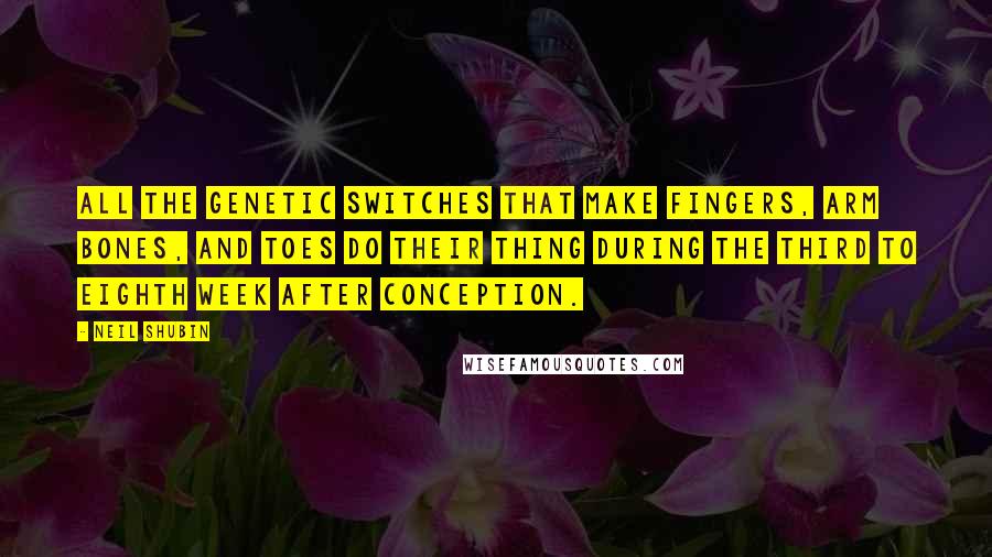 Neil Shubin Quotes: All the genetic switches that make fingers, arm bones, and toes do their thing during the third to eighth week after conception.