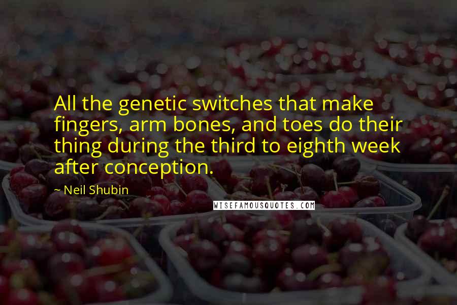 Neil Shubin Quotes: All the genetic switches that make fingers, arm bones, and toes do their thing during the third to eighth week after conception.