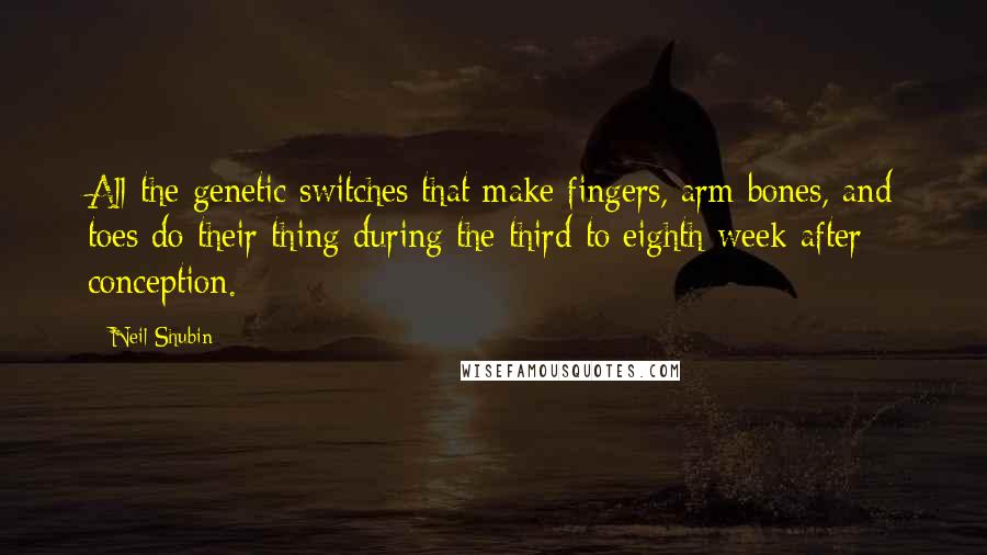 Neil Shubin Quotes: All the genetic switches that make fingers, arm bones, and toes do their thing during the third to eighth week after conception.