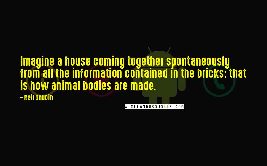 Neil Shubin Quotes: Imagine a house coming together spontaneously from all the information contained in the bricks: that is how animal bodies are made.