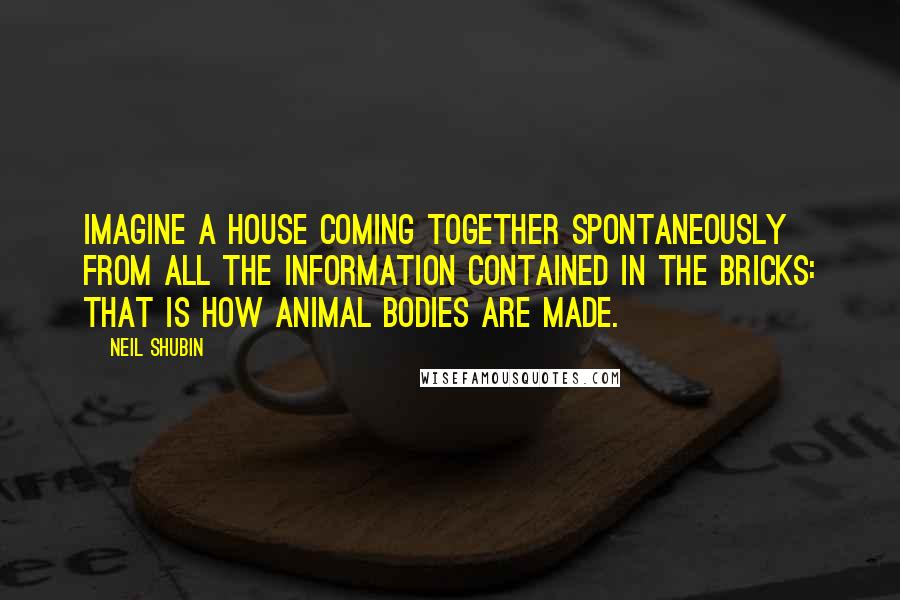 Neil Shubin Quotes: Imagine a house coming together spontaneously from all the information contained in the bricks: that is how animal bodies are made.