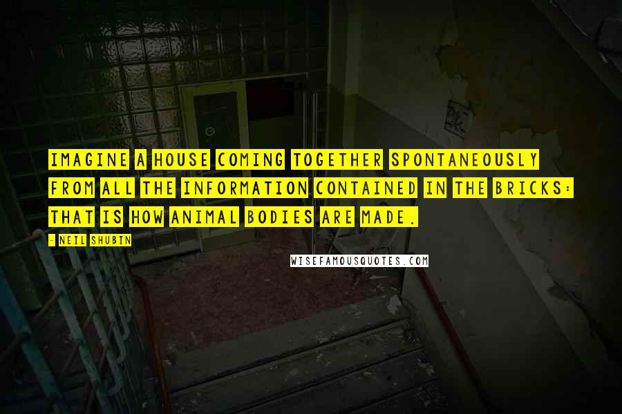 Neil Shubin Quotes: Imagine a house coming together spontaneously from all the information contained in the bricks: that is how animal bodies are made.