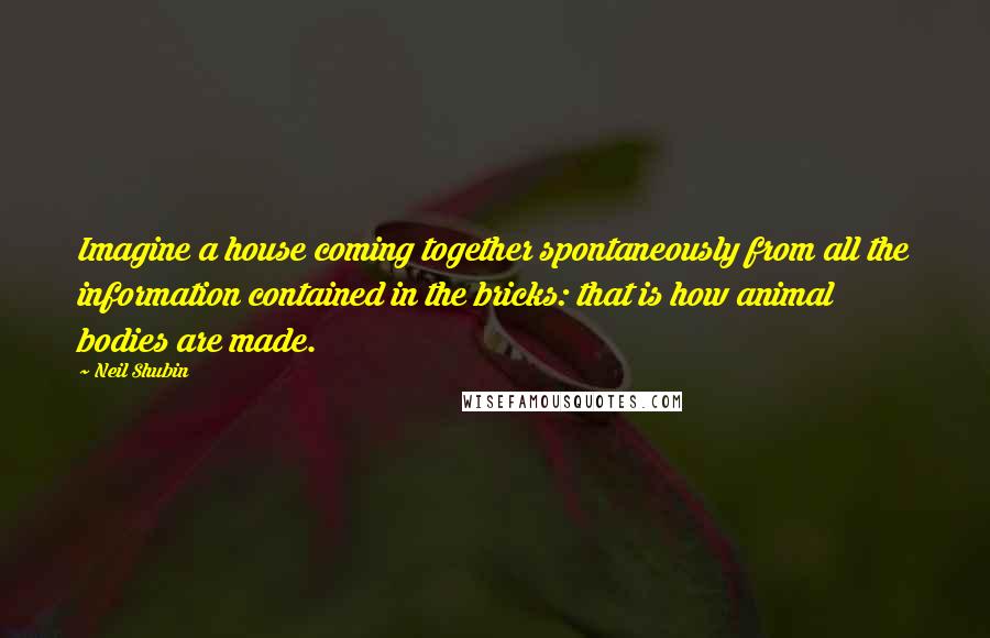 Neil Shubin Quotes: Imagine a house coming together spontaneously from all the information contained in the bricks: that is how animal bodies are made.