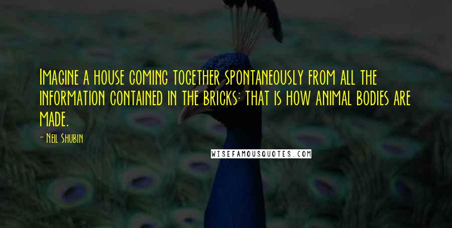 Neil Shubin Quotes: Imagine a house coming together spontaneously from all the information contained in the bricks: that is how animal bodies are made.