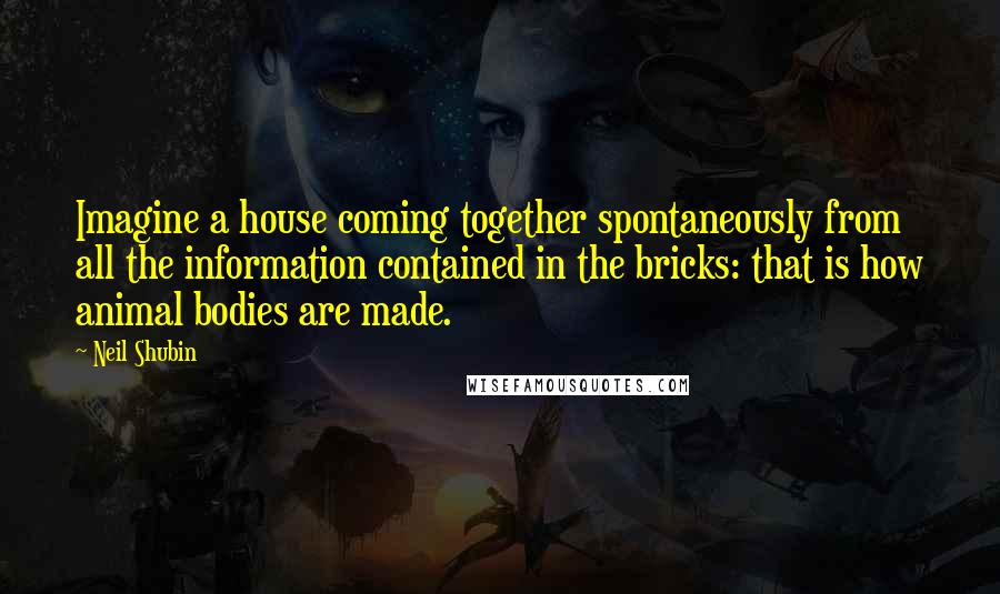 Neil Shubin Quotes: Imagine a house coming together spontaneously from all the information contained in the bricks: that is how animal bodies are made.